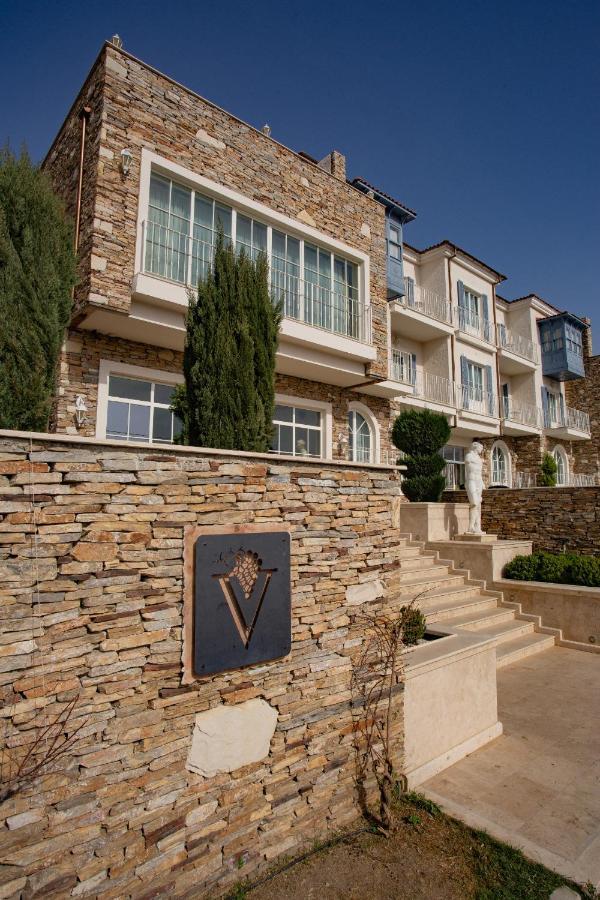 סלצ'וק Vinifera Ephesus Hotel מראה חיצוני תמונה