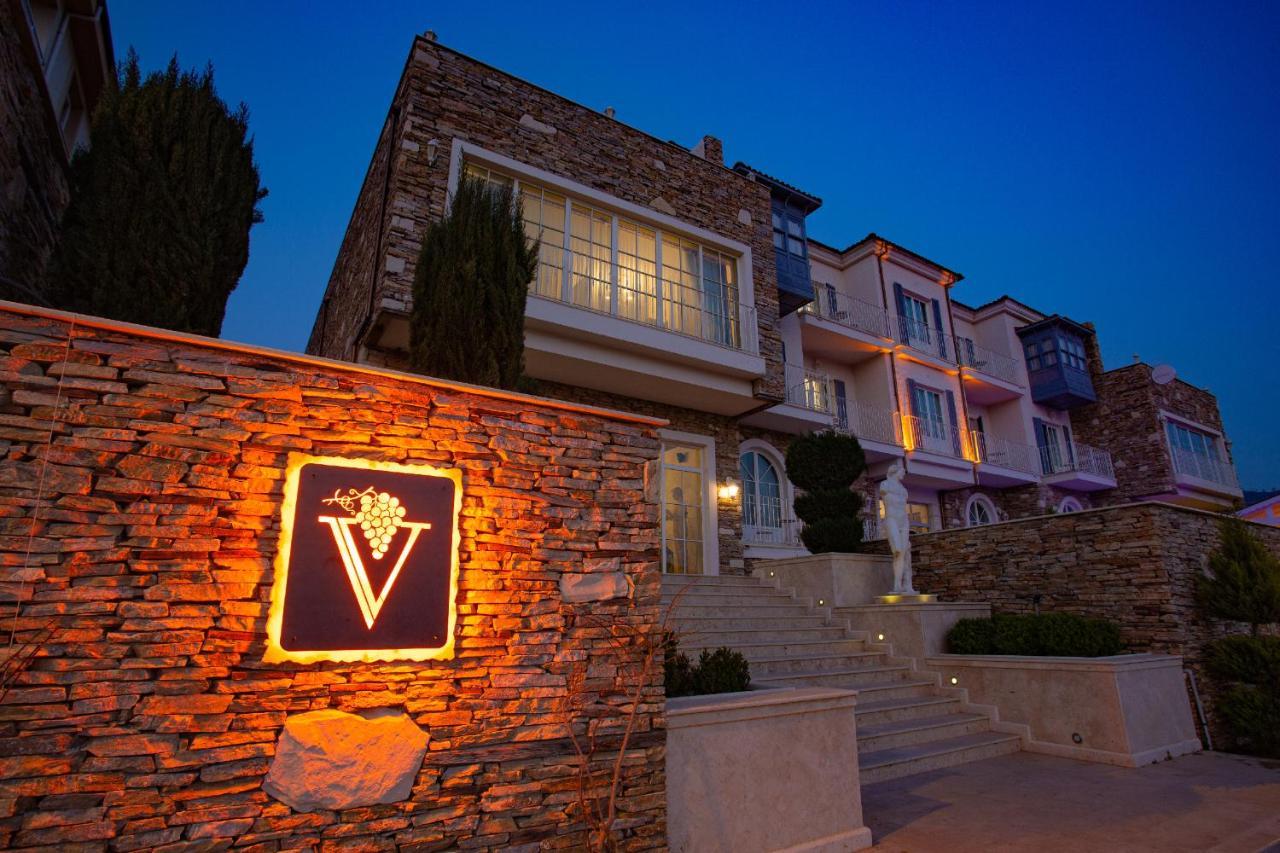 סלצ'וק Vinifera Ephesus Hotel מראה חיצוני תמונה