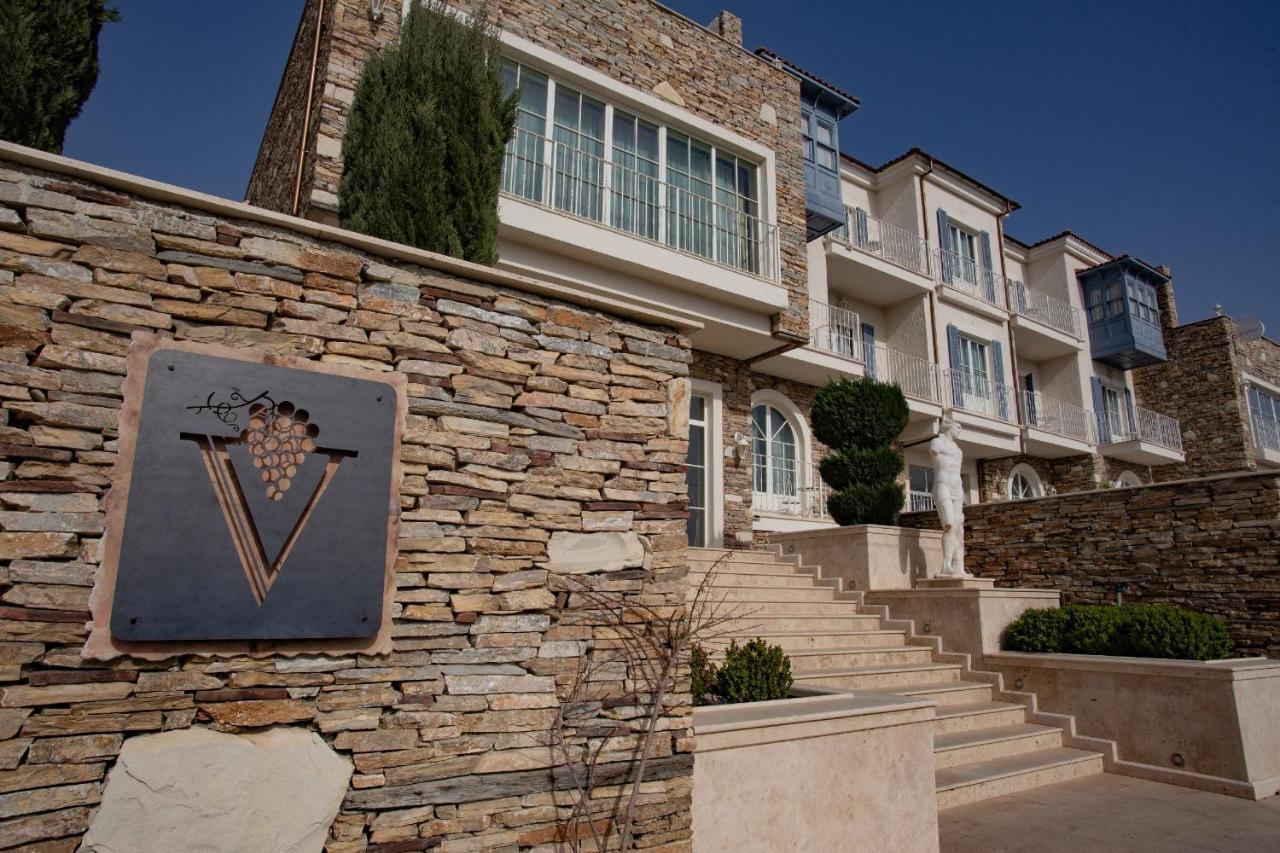 סלצ'וק Vinifera Ephesus Hotel מראה חיצוני תמונה