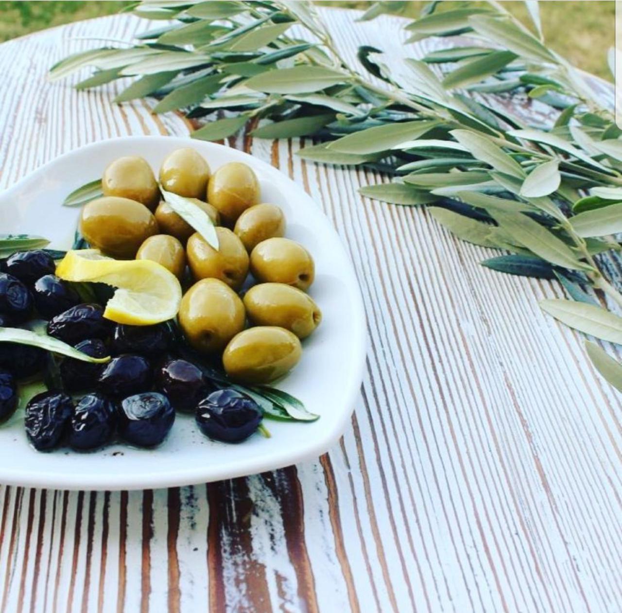 סלצ'וק Vinifera Ephesus Hotel מראה חיצוני תמונה