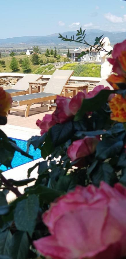 סלצ'וק Vinifera Ephesus Hotel מראה חיצוני תמונה